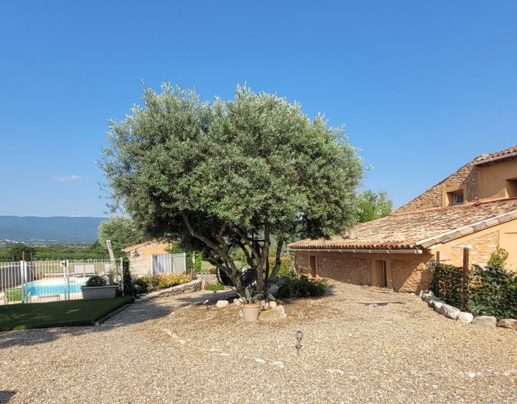 JARDIN DOMAINE ARTEMISS PROVENCE