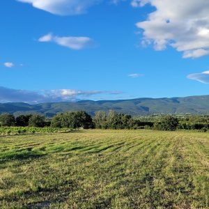GITE ok vue sur les Monts du Vaucluse