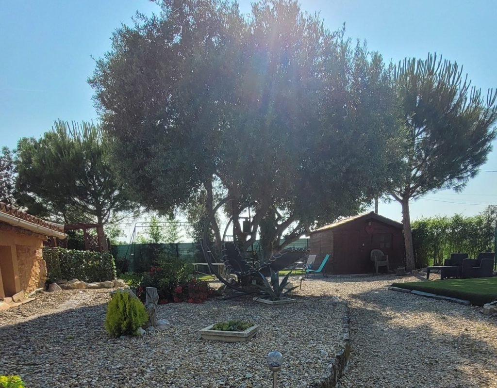 gite jardin vue de l'allée