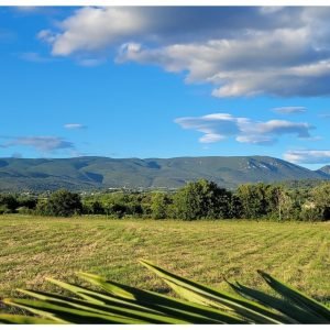 gite ok Vue sur les monts du Ventoux EST